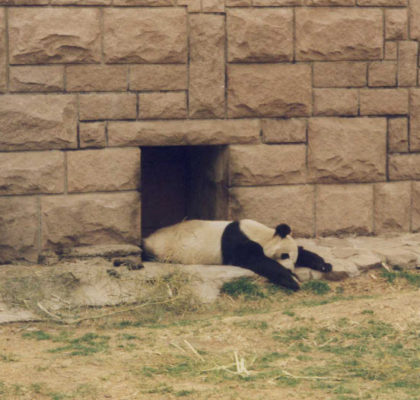 Leaving Beijing (Day 31)