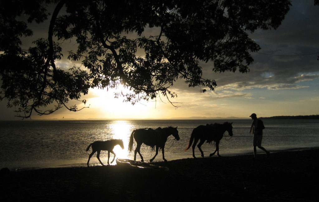 Ometepe sunset with horses