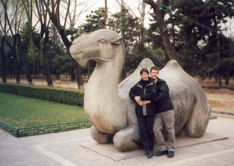 Camel on the Spirit Way