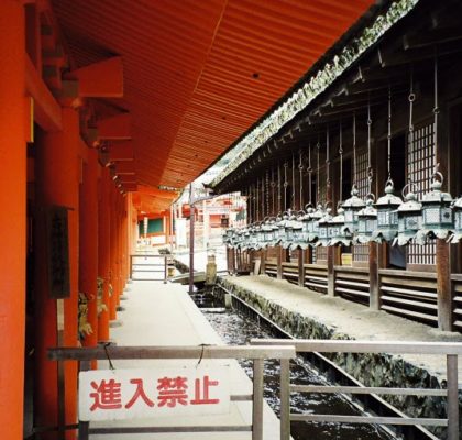 Nara (Day 42)