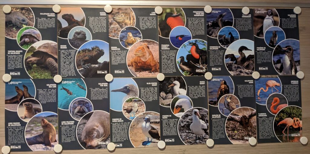 List of the Big 15 Galapagos wildlife