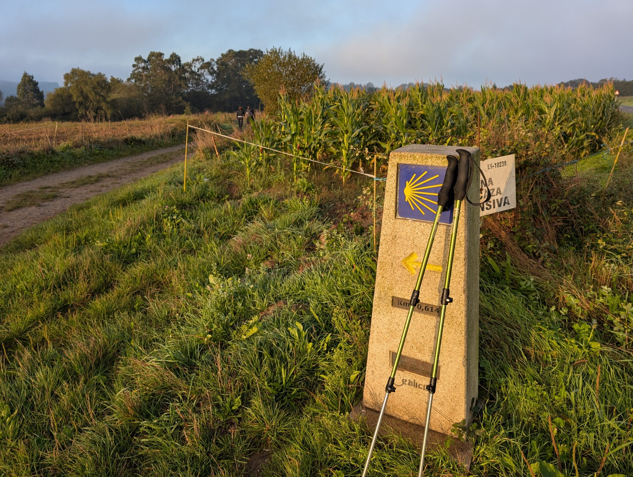 Days 10-11: Ferreira and Boente