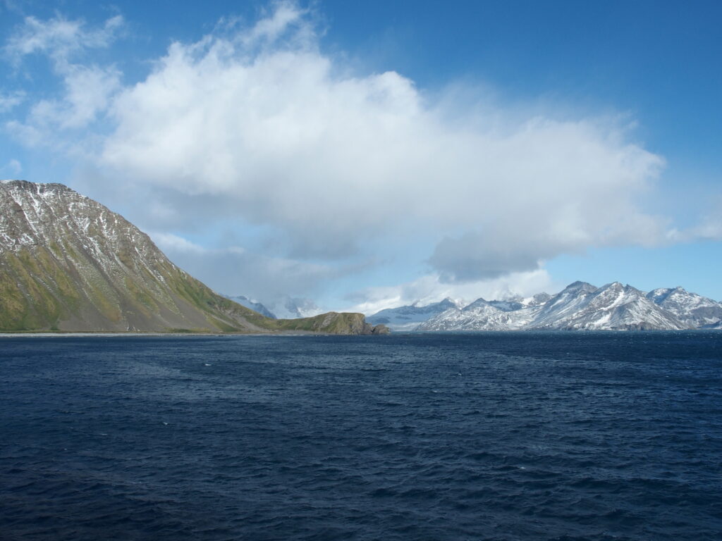 Royal Bay, South Georgia