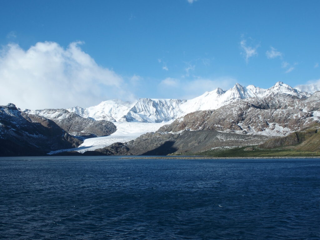 Royal Bay, South Georgia