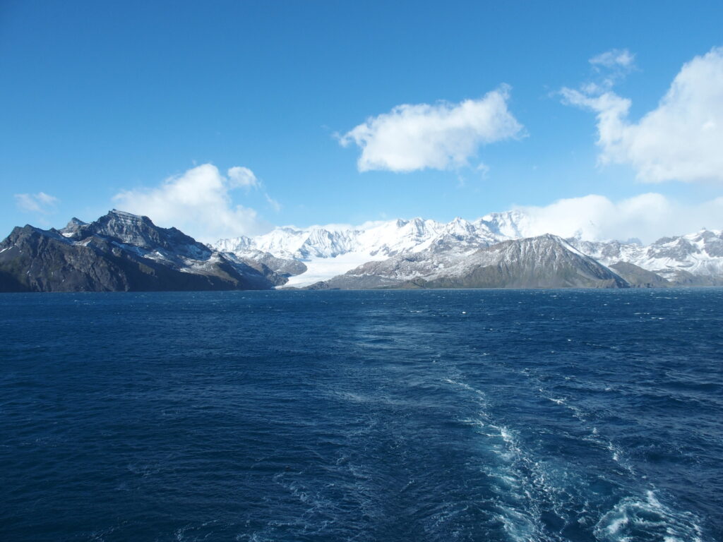 Royal Bay, South Georgia