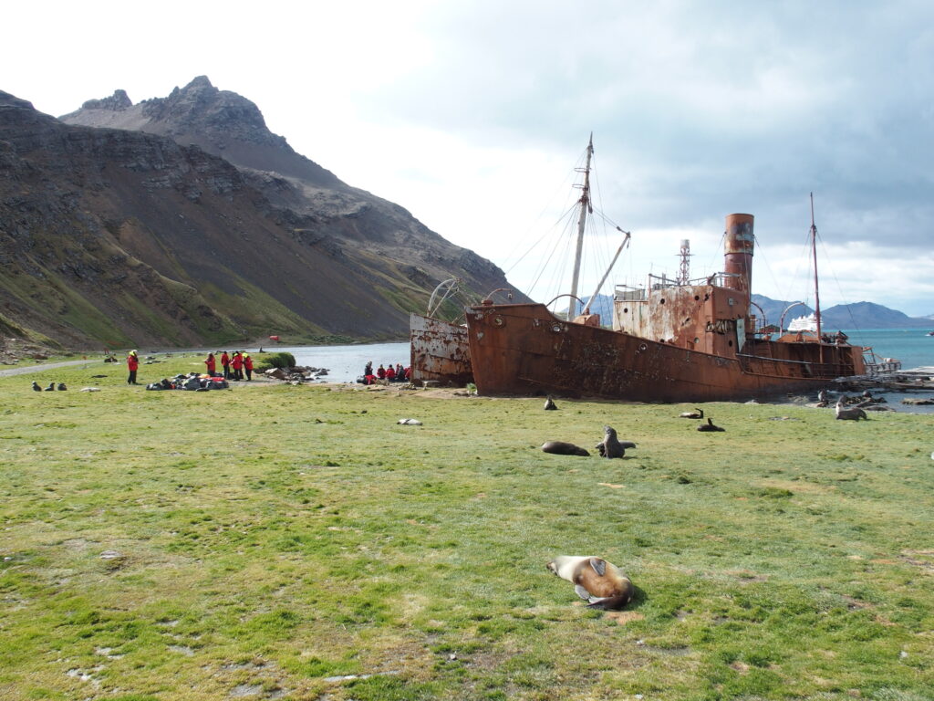 Landing near the Dias and Albatross, Grytviken
