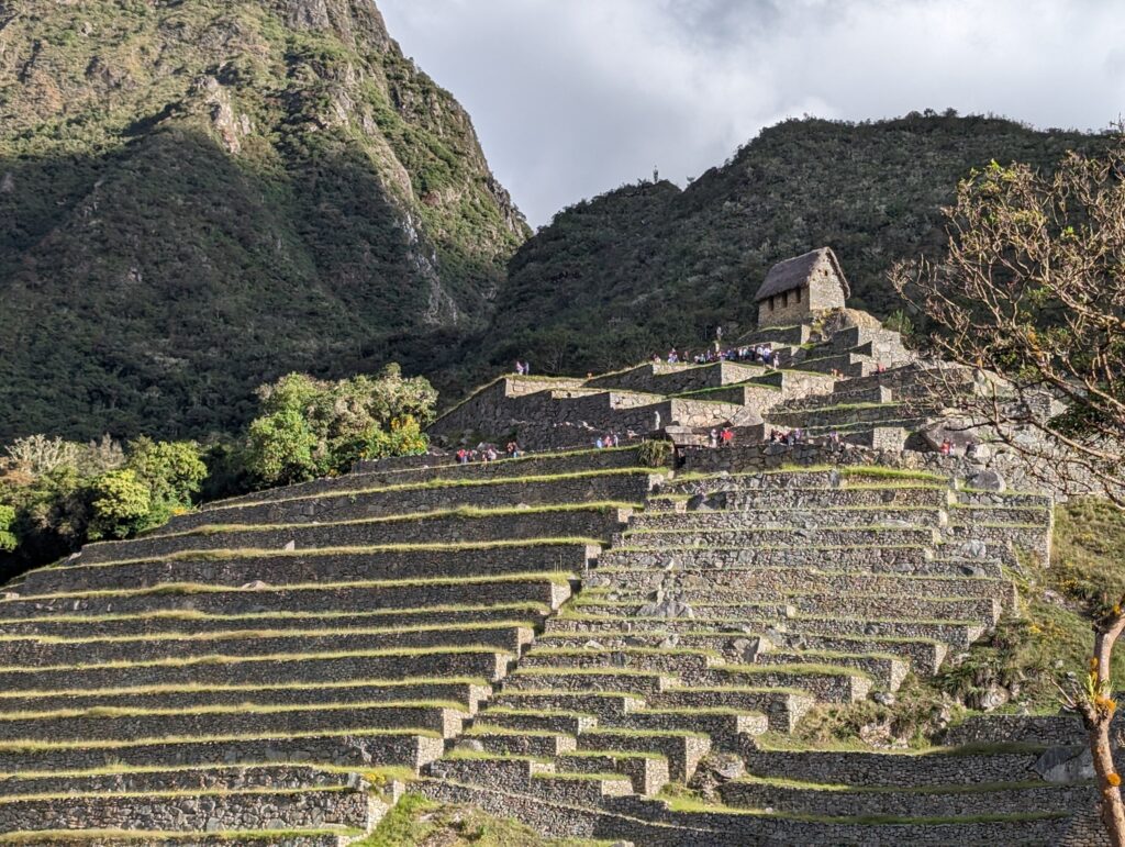 Terraces, Lower Citadel, Machu Picchu