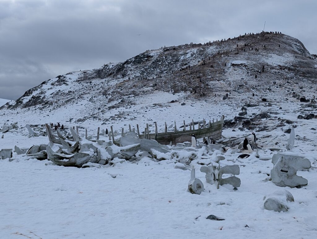 Whaling boat, D'Hainaut island