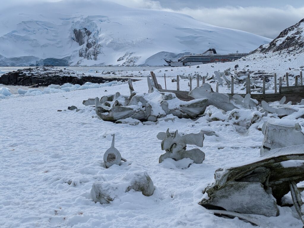 Whale bones and boat remains, D'Hainaut island