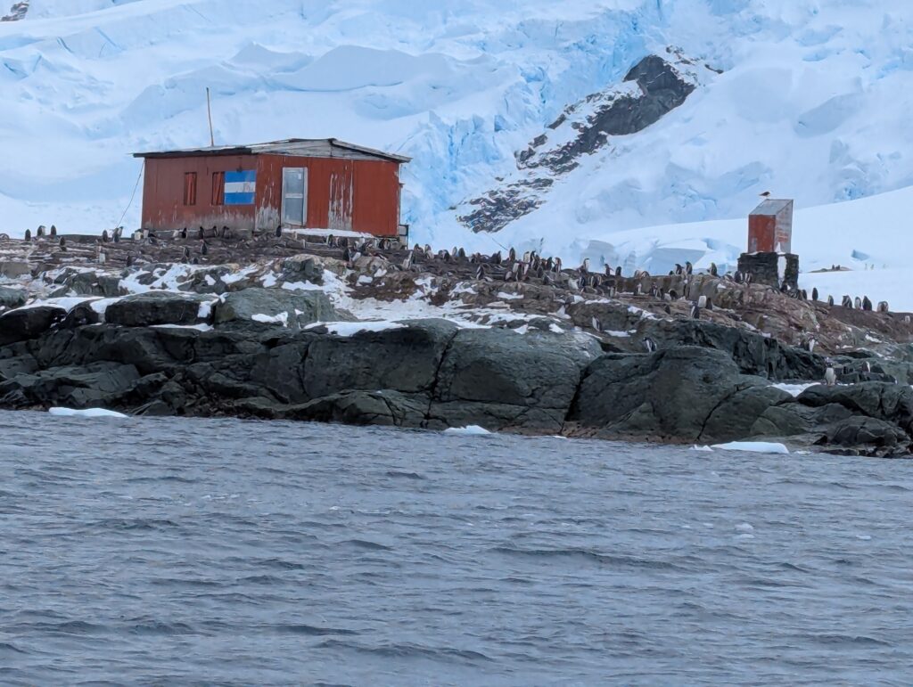 Gentoo penguins and emergency shelter, D'Hainaut island