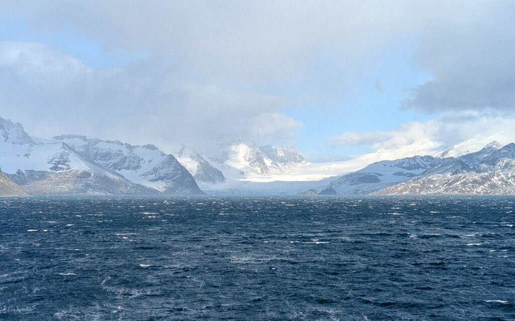 Royal Bay, South Georgia