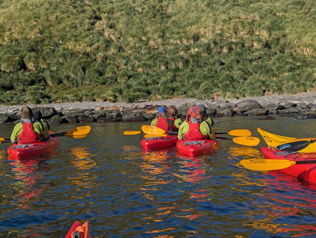 Kayaking, South Georgia