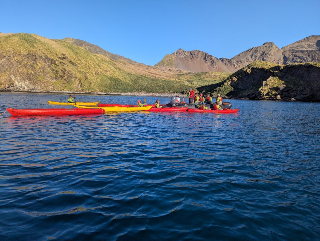 Kayak boarding, South Georgia