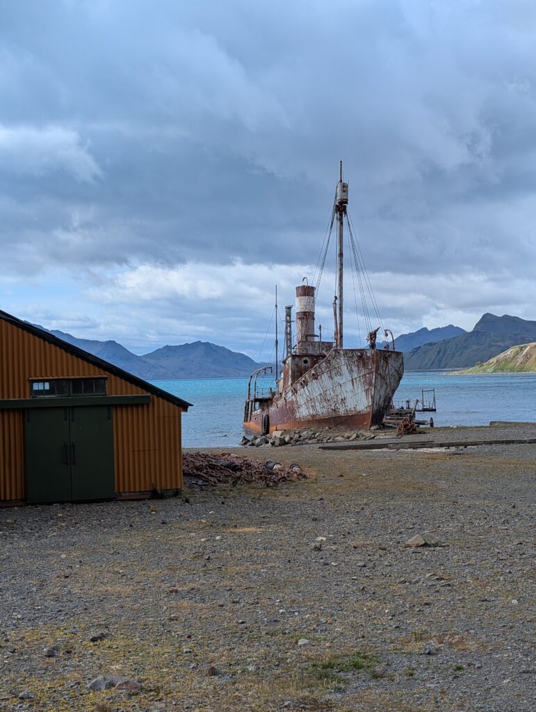 Wreck of the Petrel, Grytviken