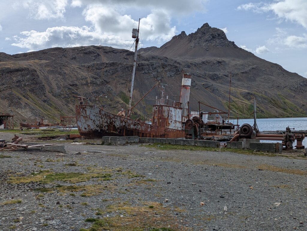 Wreck of the Petrel, Grytviken