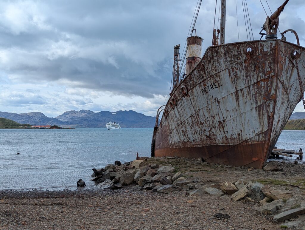 Wreck of the Petrel, Grytviken