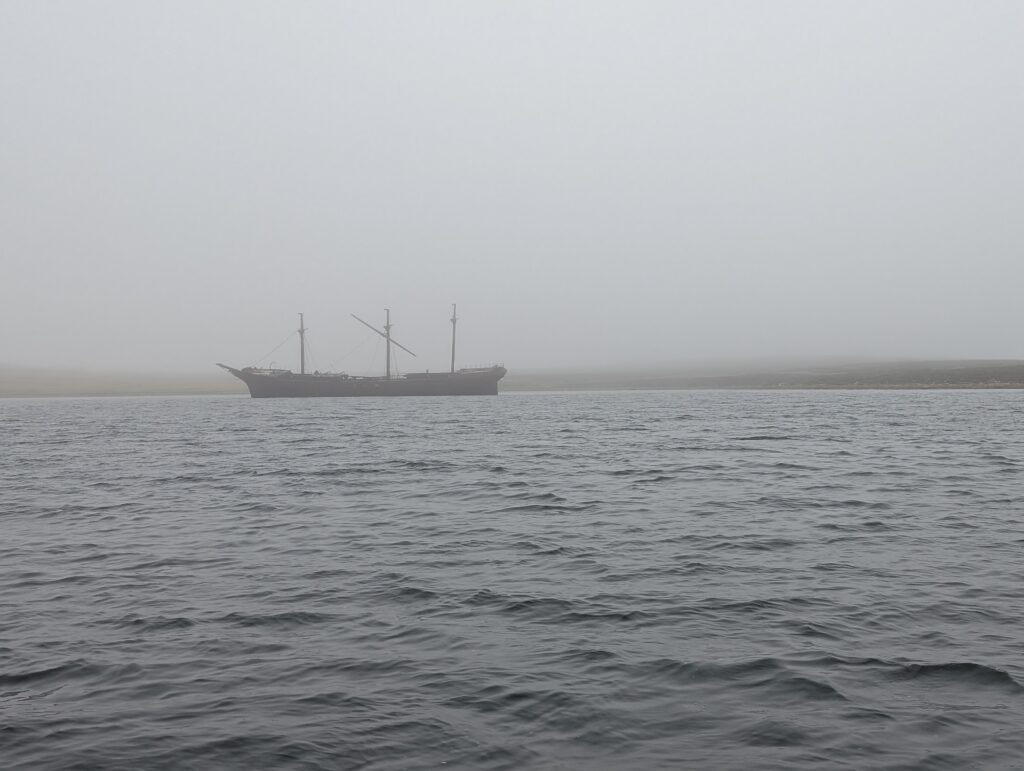 The Lady Elizabeth, Falklands