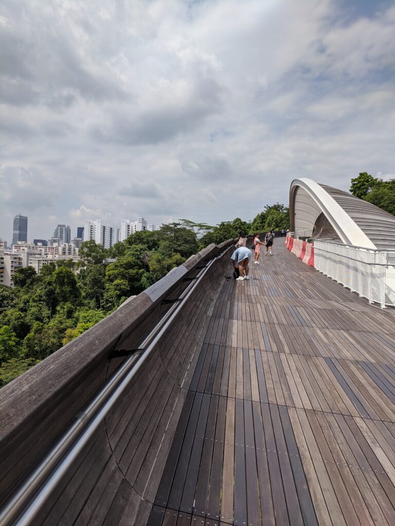 Henderson Waves bridge, Singapore