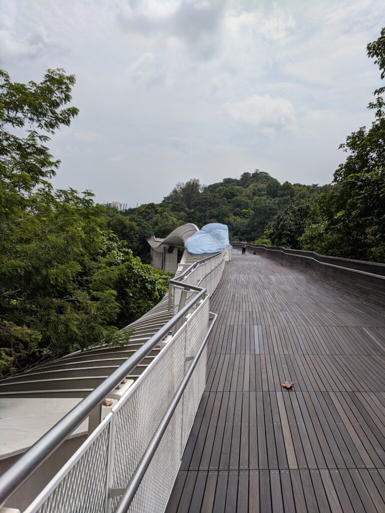 Henderson Waves bridge, Singapore