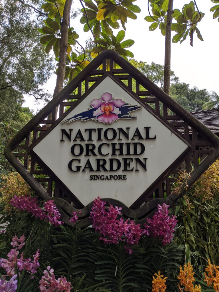 Orchids, Botanic Gardens, Singapore