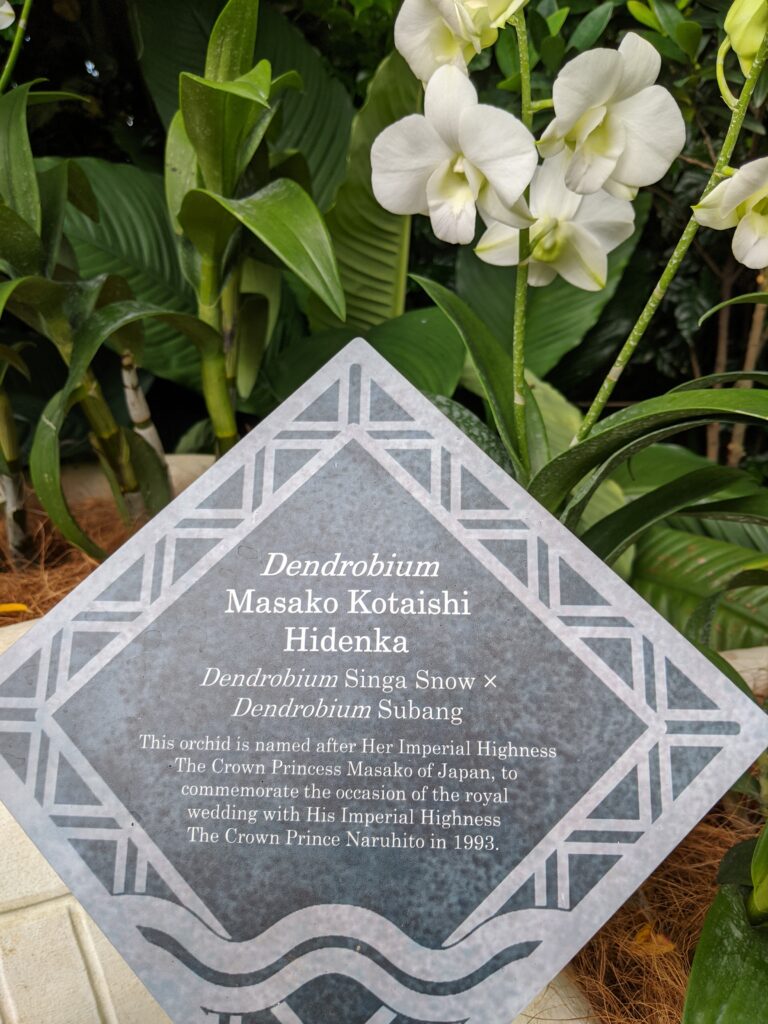 Orchids, Botanic Gardens, Singapore